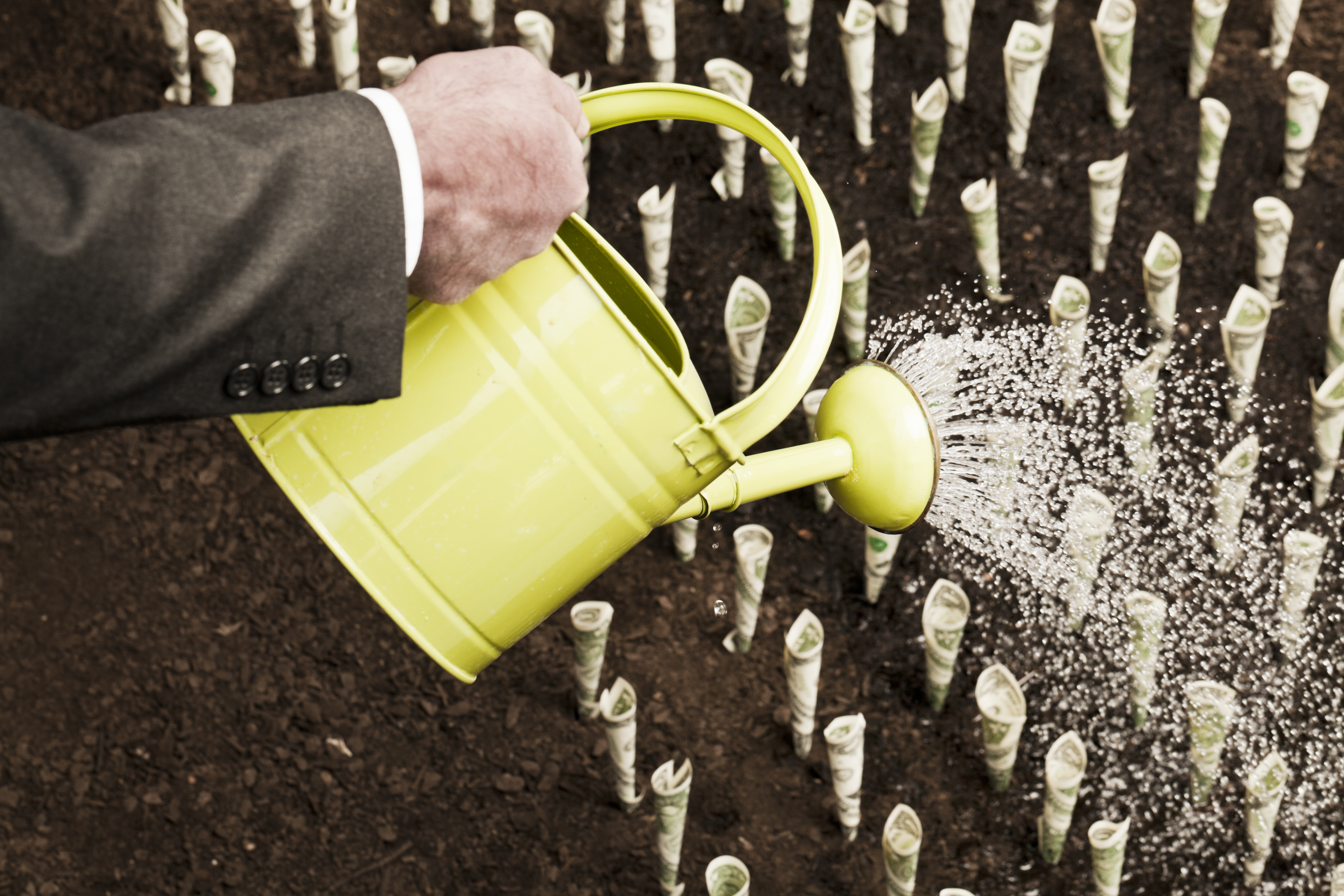 Поставщики семян. Watering the field.